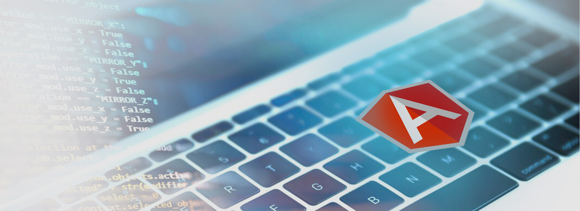 hire angular js dedicated developer